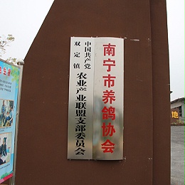 南宁市养鸽协会