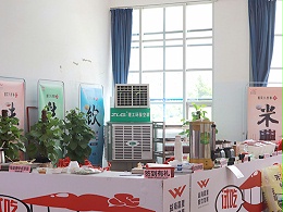 展会现场通风降温移动环保空调