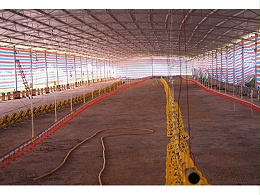 畜牧养殖冷风机厂家-请认准[ZLG理工]实力厂家