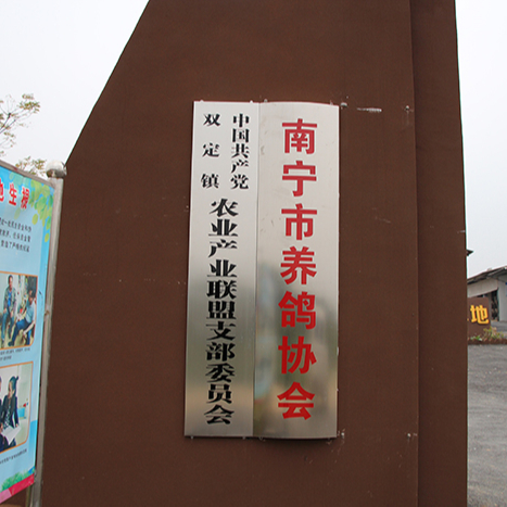 南宁市养鸽协会
