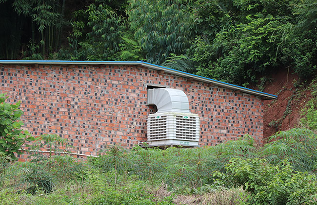局部采暖设备为猪舍的局部环境提供热量