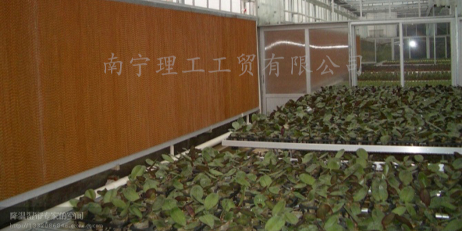 花卉大棚降温用水帘墙，广西水帘批发