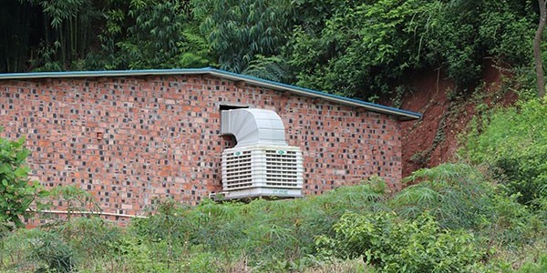 养猪场冷风机制冷效果好吗？专业厂家[ZLG理工]来告诉您