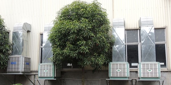 厂房工业冷风机哪家性价比高？[ZLG理工]品质保障，给您最好的产品