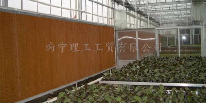 大棚水帘墙通风降温，南宁水帘厂家批发