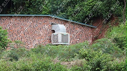 母猪养殖场安装理工冷风机通风降温
